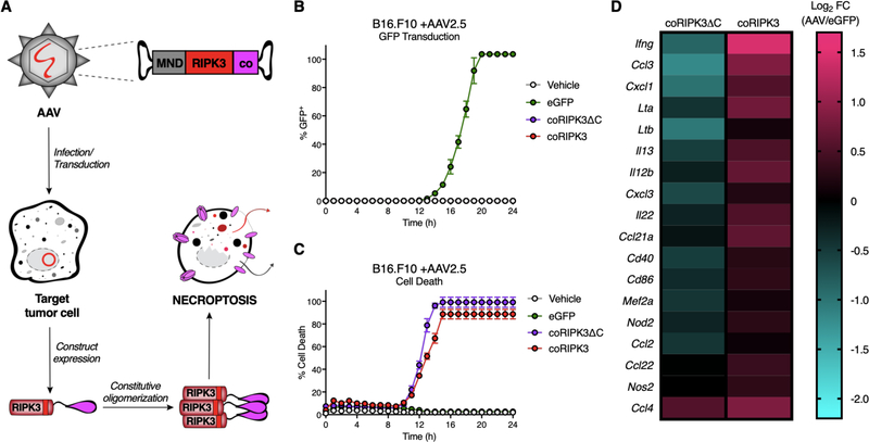 Figure 6: