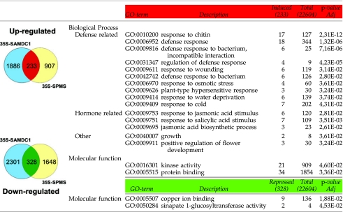 graphic file with name fig-5.jpg