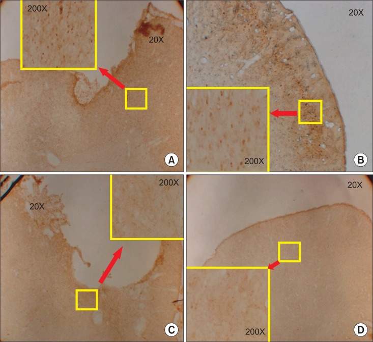 Fig. 9