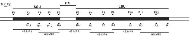 FIG. 1.