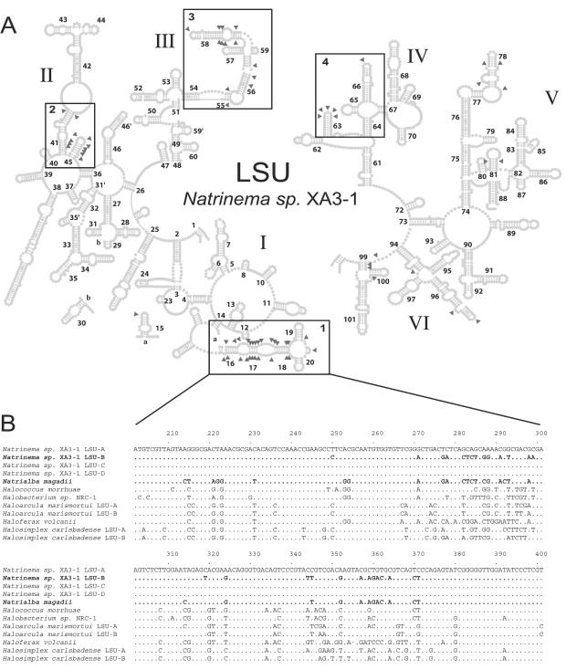 FIG. 4.