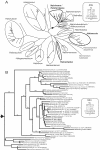 FIG.5.