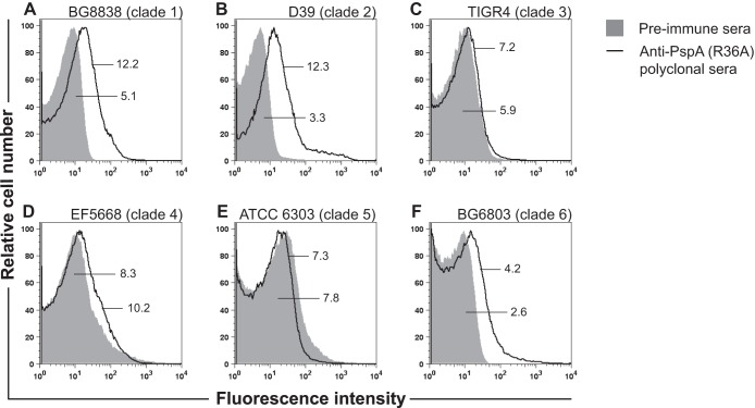 FIG 1