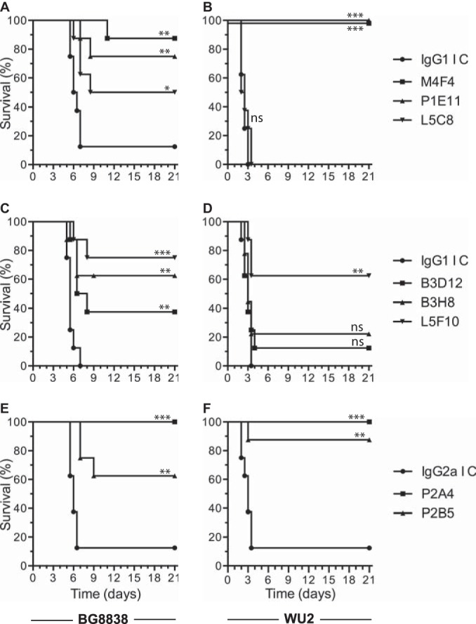 FIG 2