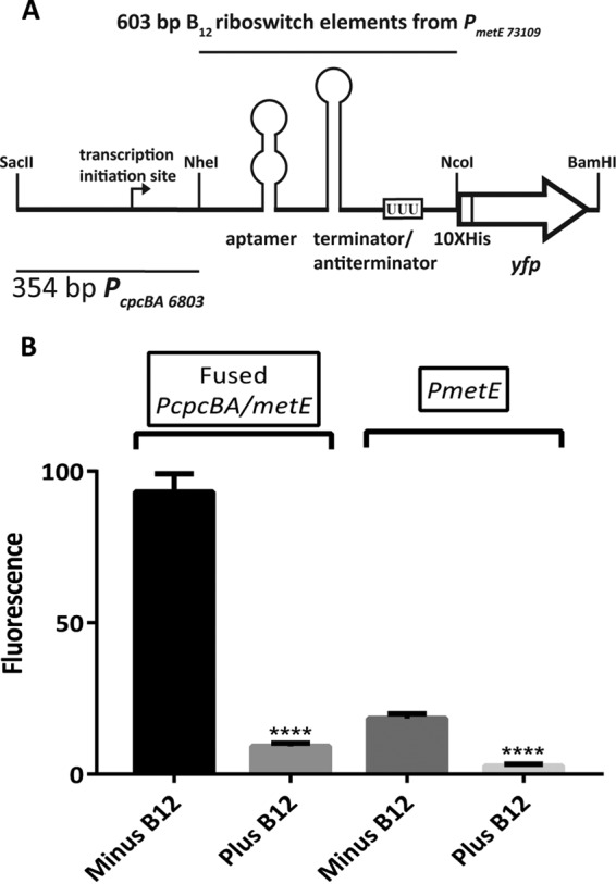 FIG 5