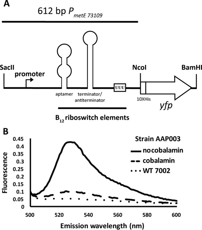 FIG 4