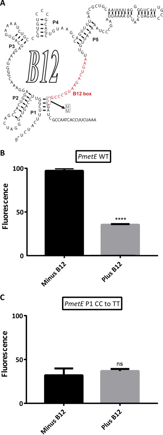 FIG 6