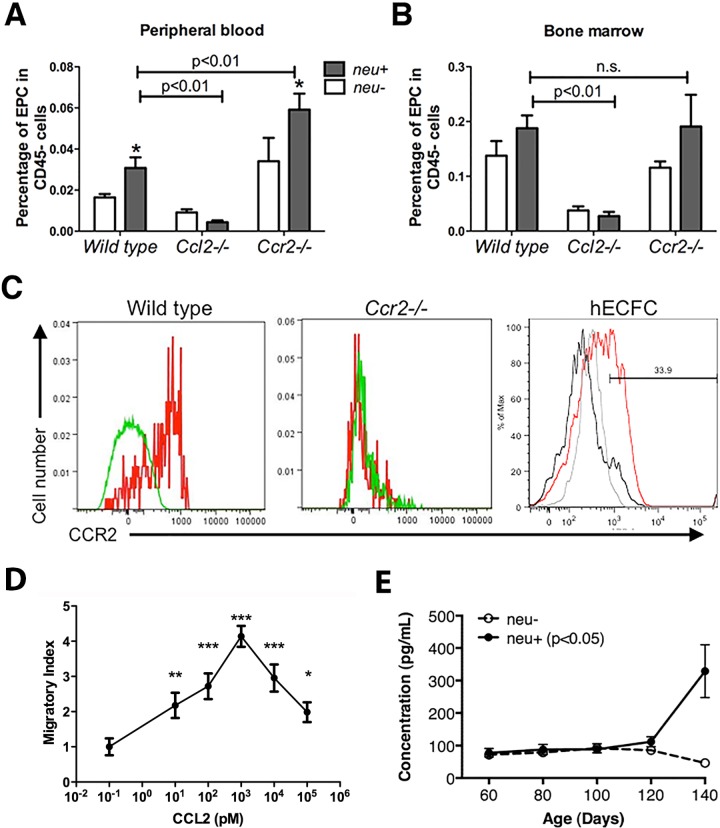 Fig 10