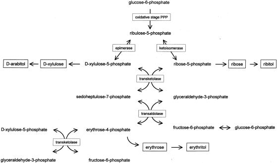 Figure  1