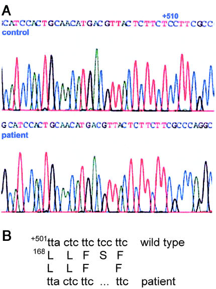 Figure  3