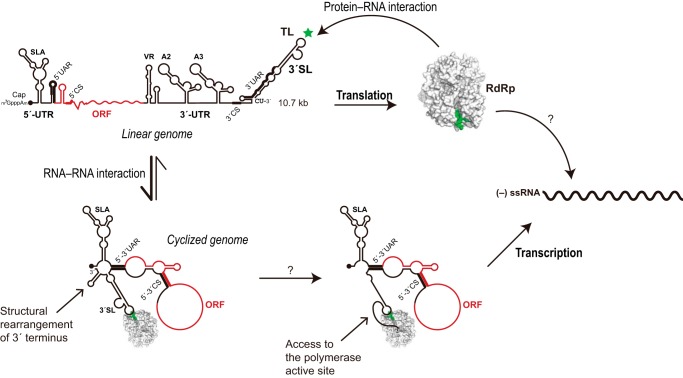 FIGURE 7.