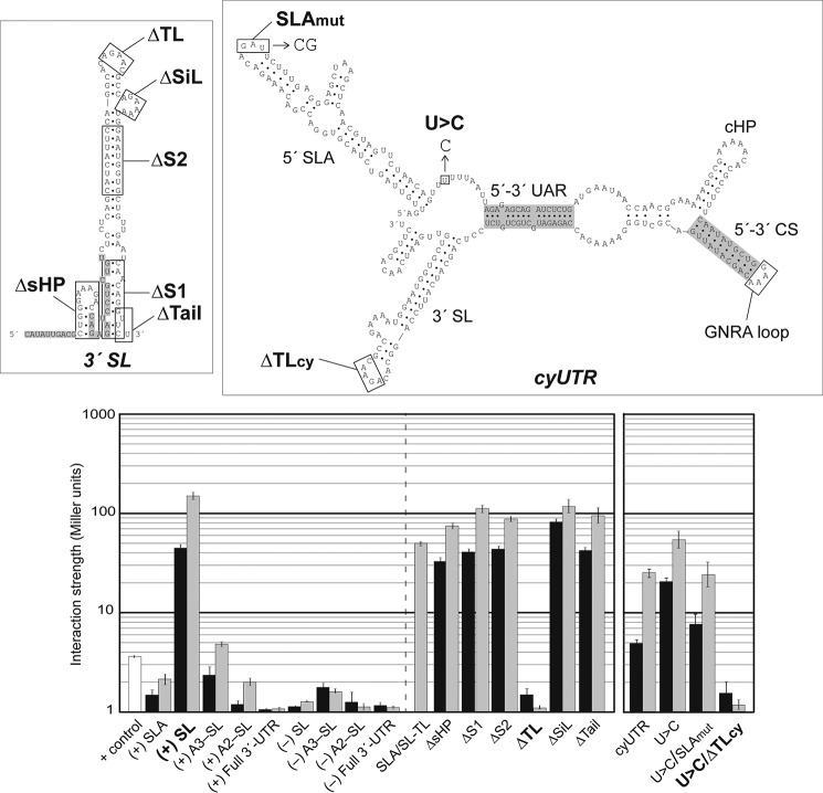 FIGURE 2.