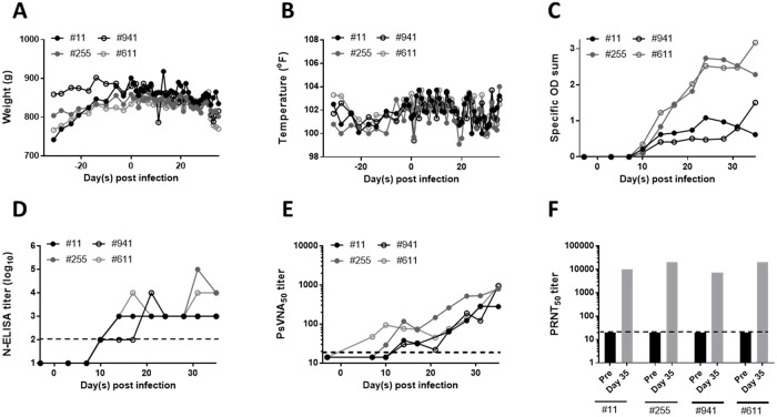 Fig 6