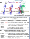 FIGURE 14