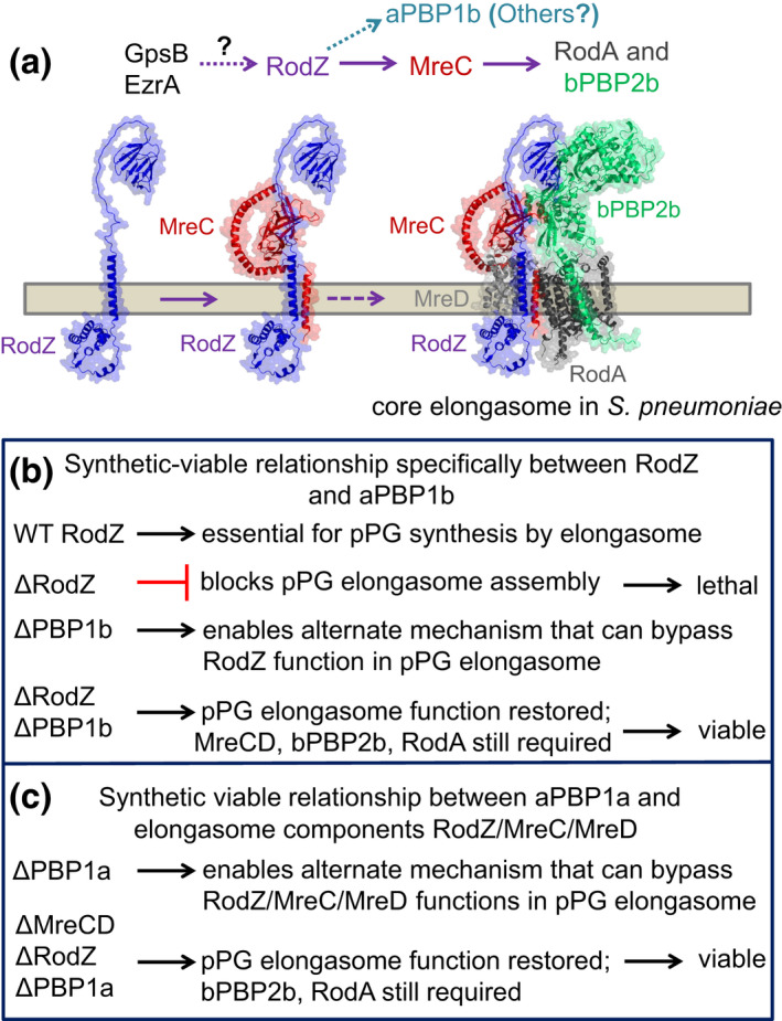 FIGURE 14