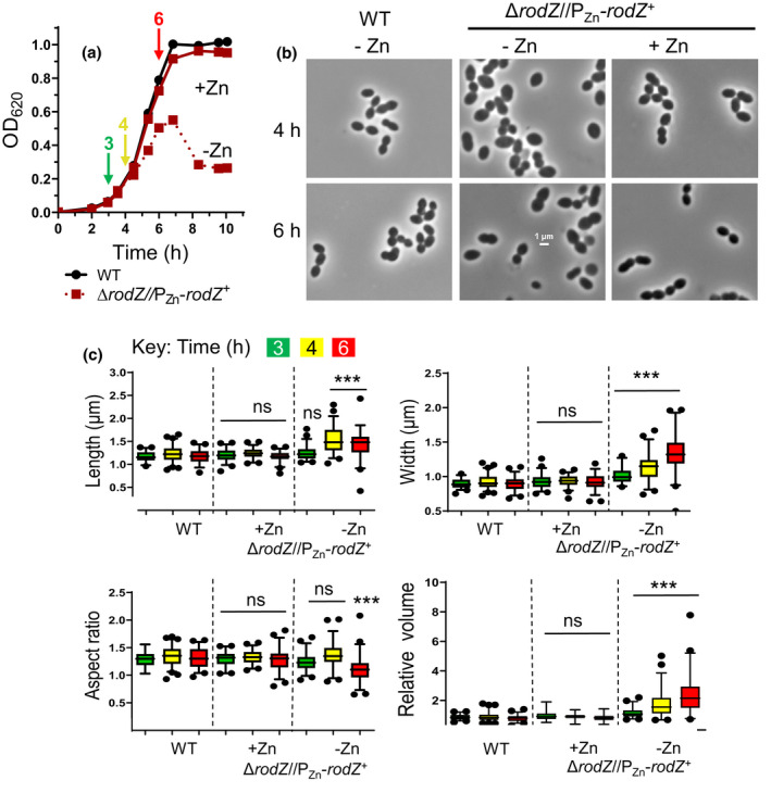 FIGURE 3