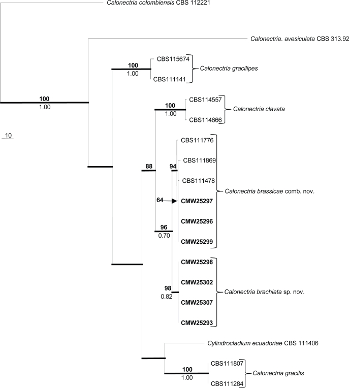 Fig. 2