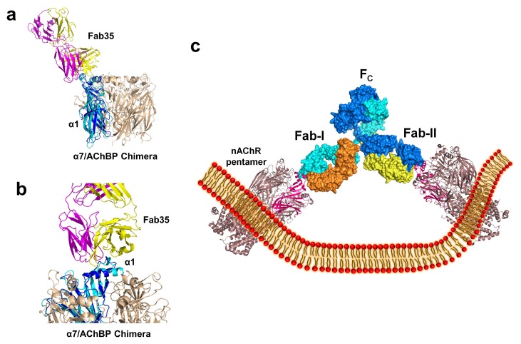 Figure 6.