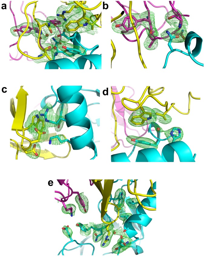 Figure 3—figure supplement 1.