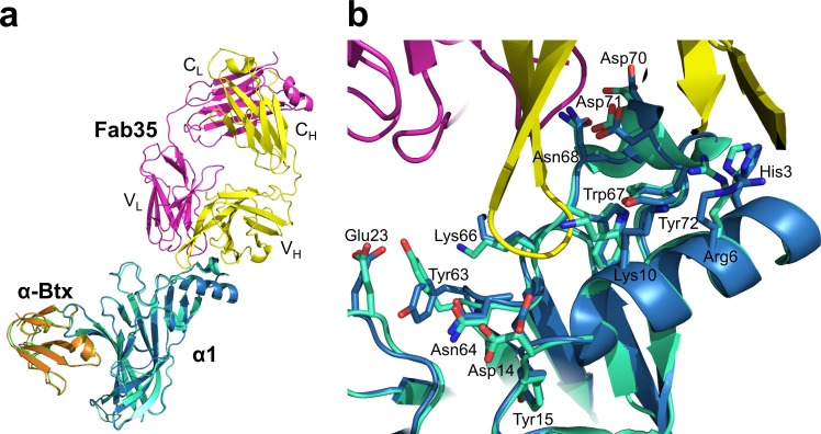 Figure 1—figure supplement 3.