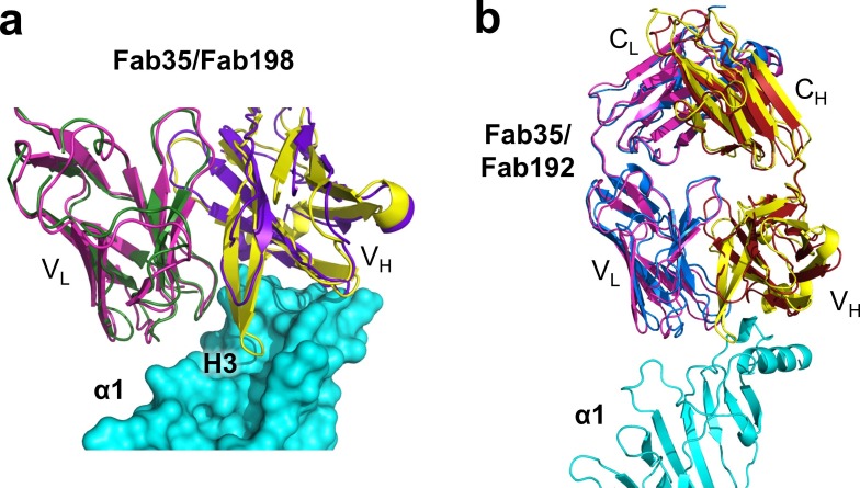 Figure 4—figure supplement 1.