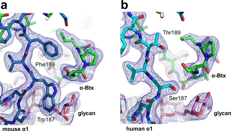 Figure 1—figure supplement 2.