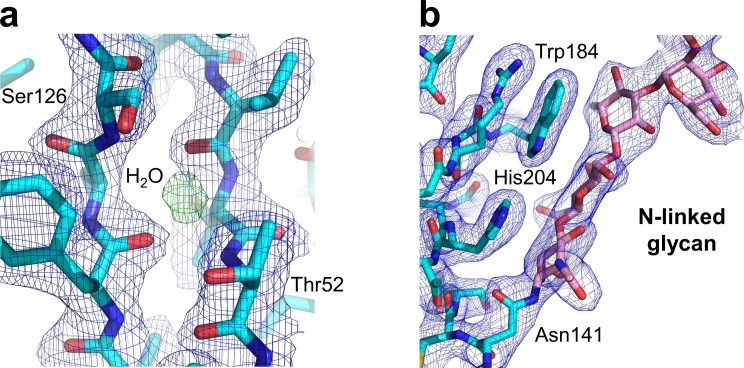 Figure 1—figure supplement 1.