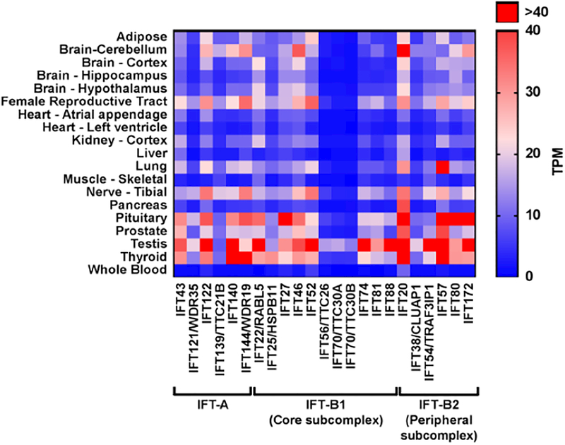 FIGURE 2: