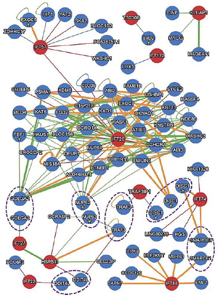 FIGURE 1: