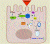 Figure 10: