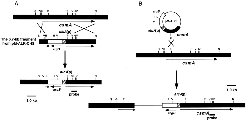 FIG. 7