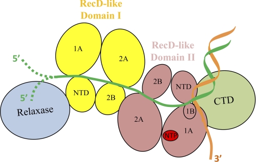 FIGURE 9.