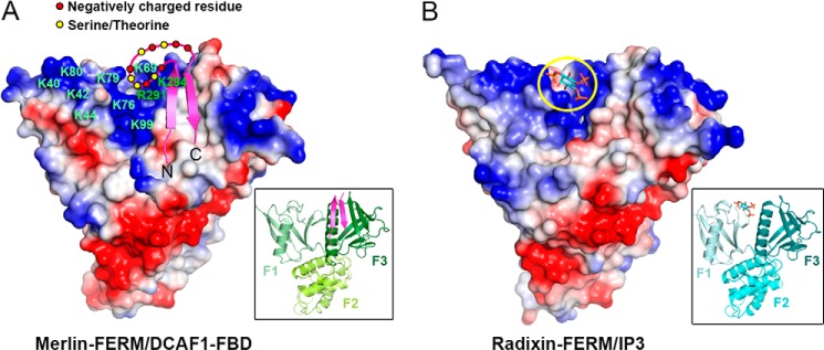 FIGURE 4.