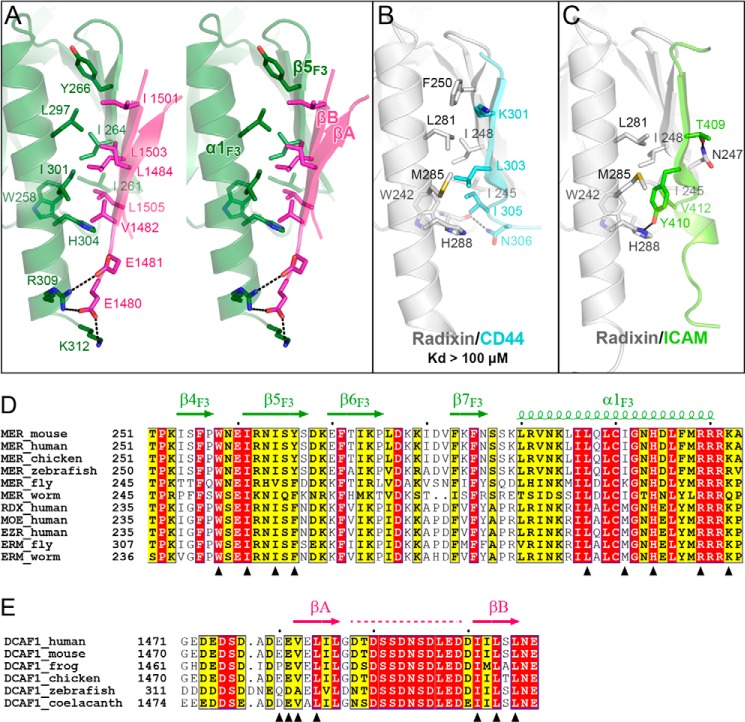 FIGURE 3.