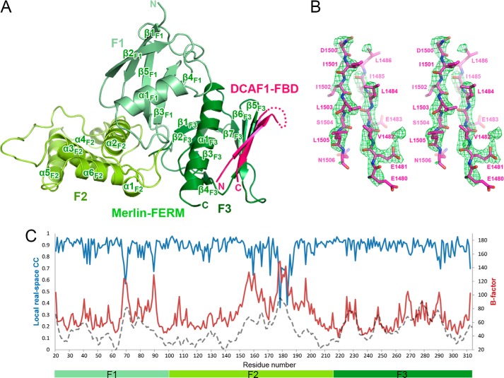 FIGURE 2.