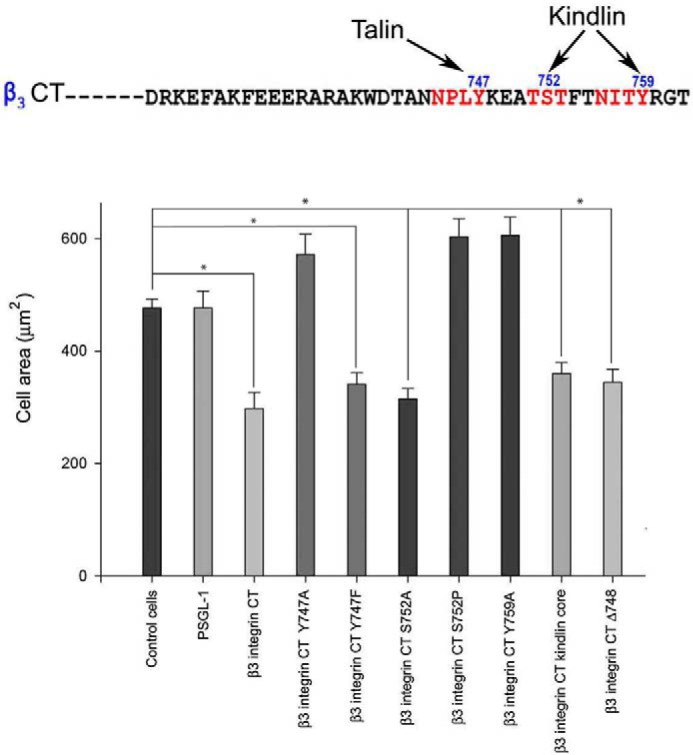 FIGURE 4.