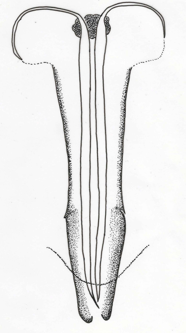 Figure 10.