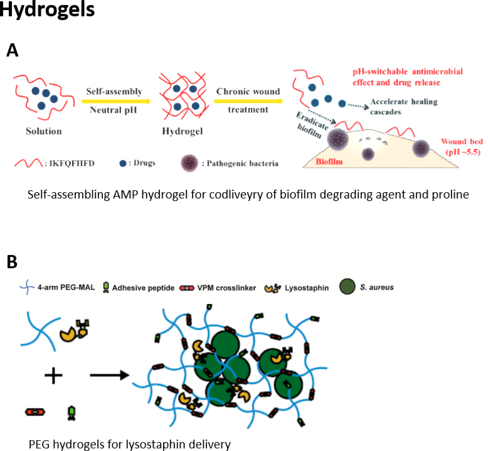 Hydrogel-based antibacterial therapies.