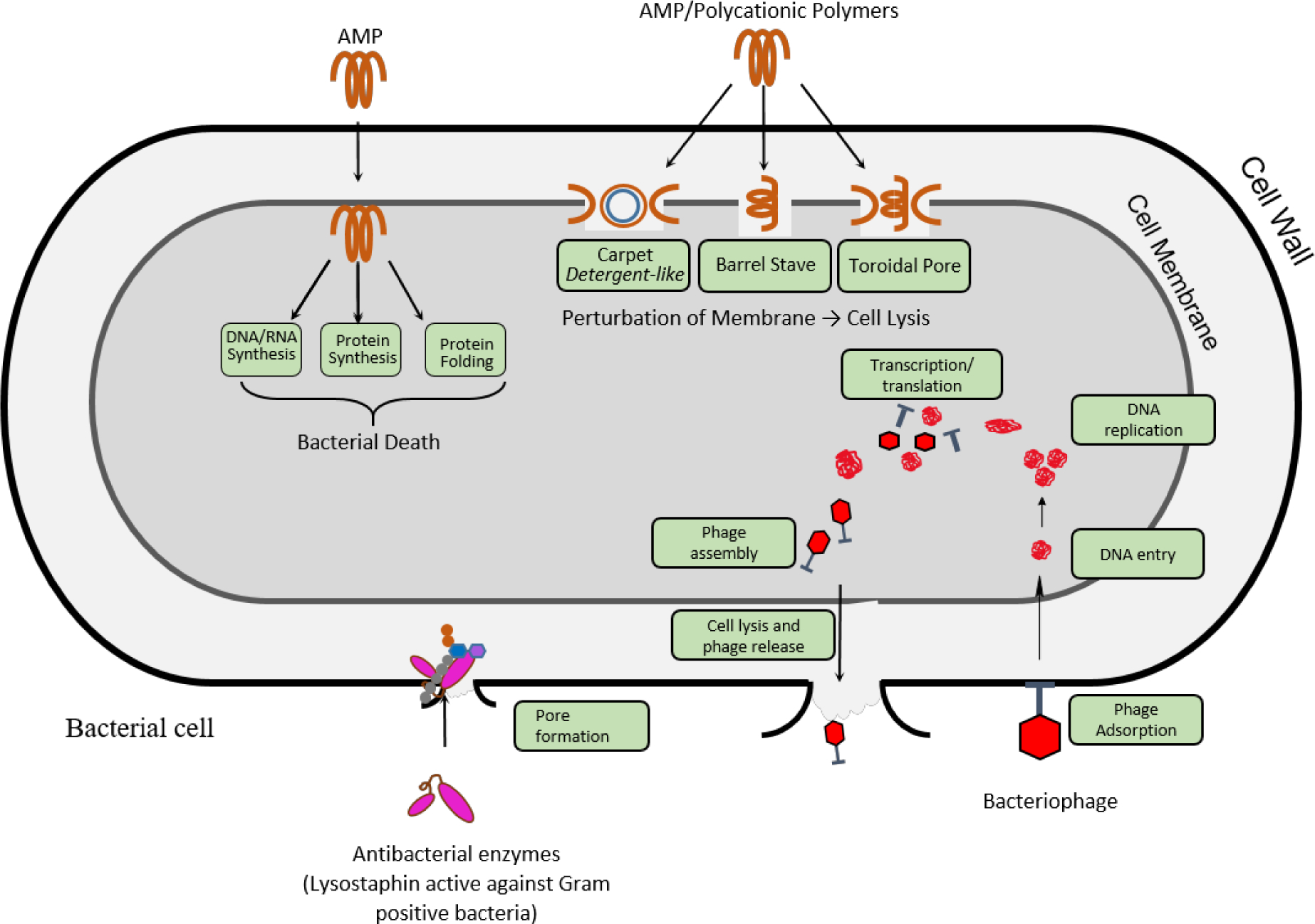 Figure 2.