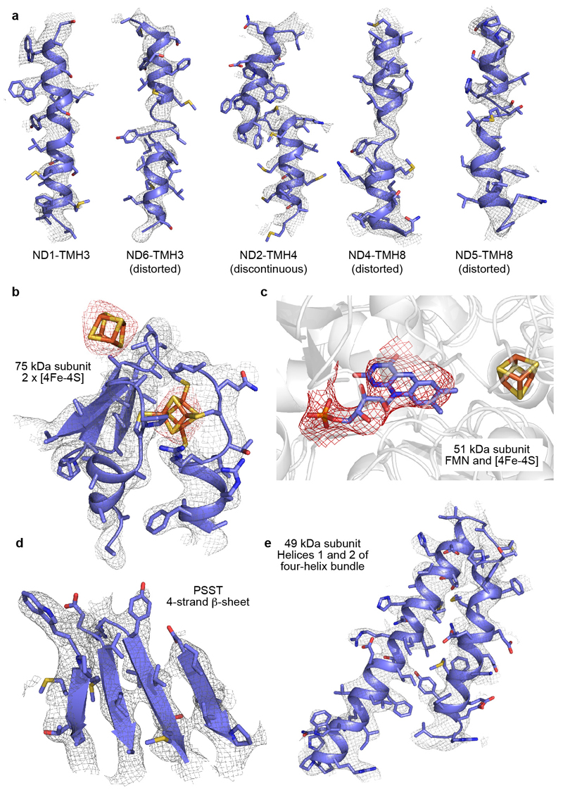 ED Figure 3