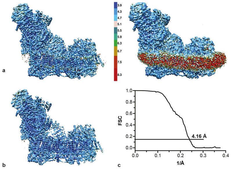 ED Figure 1