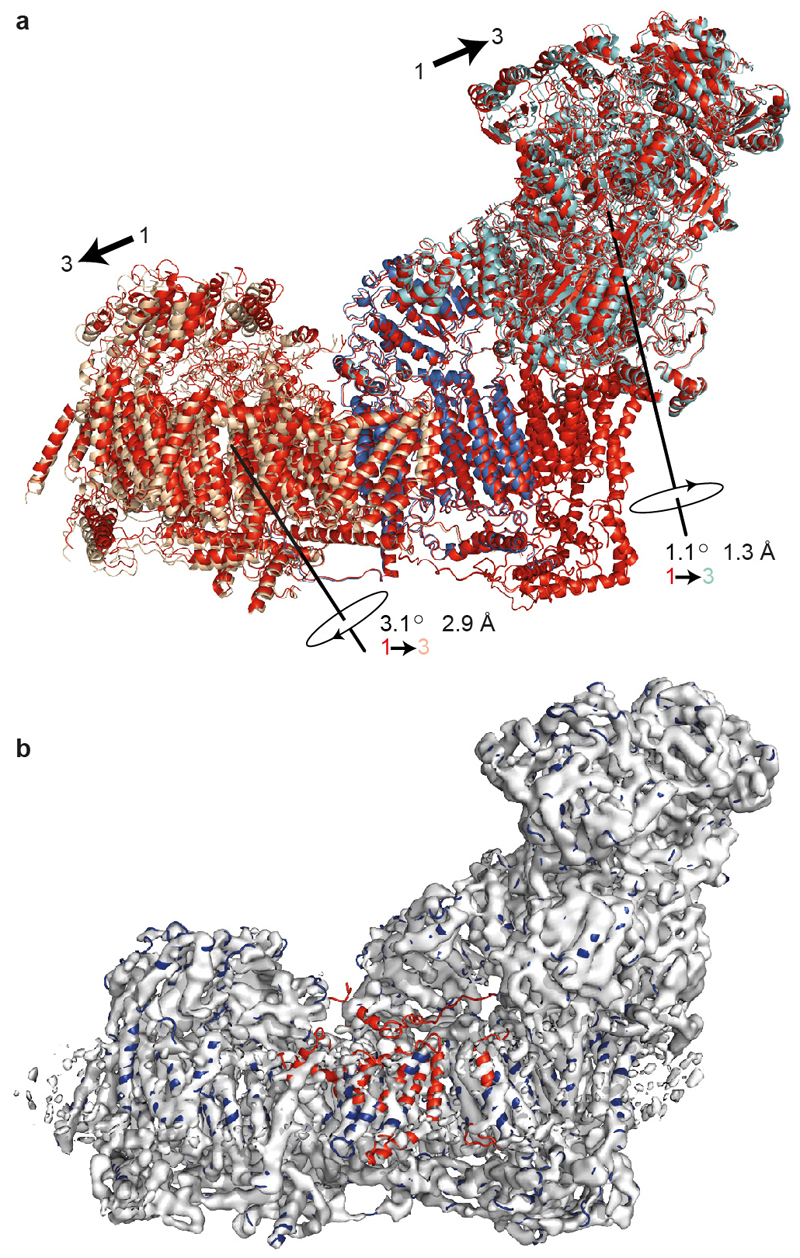 ED Figure 5