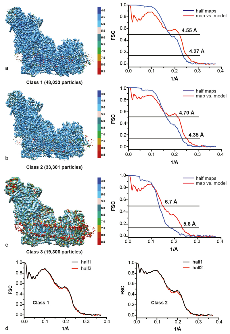 ED Figure 2