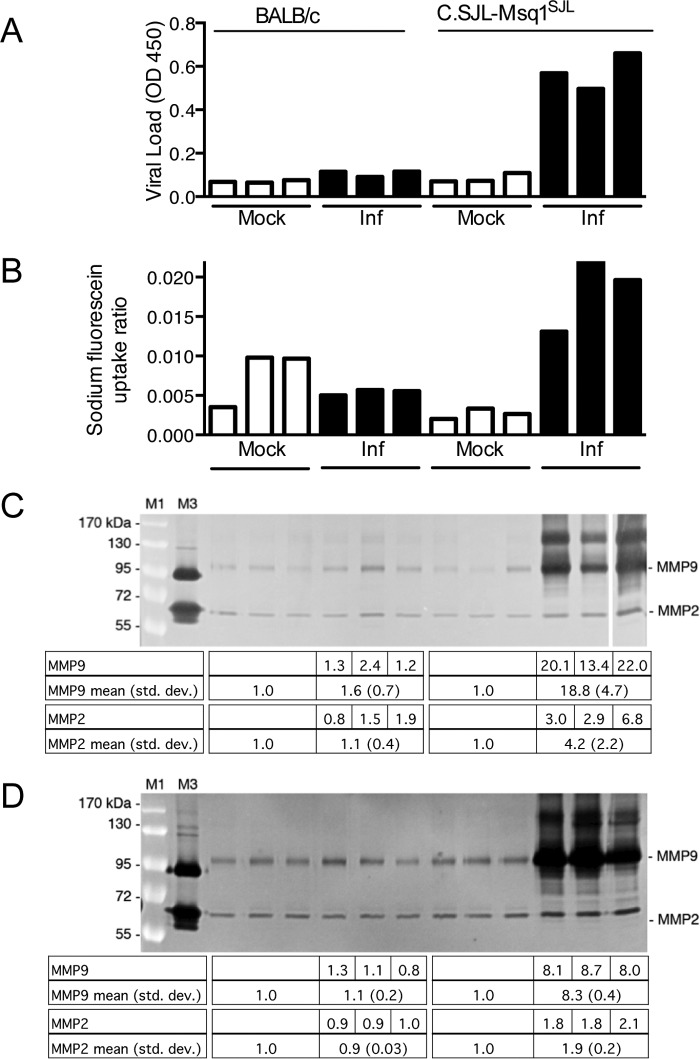 FIG 2