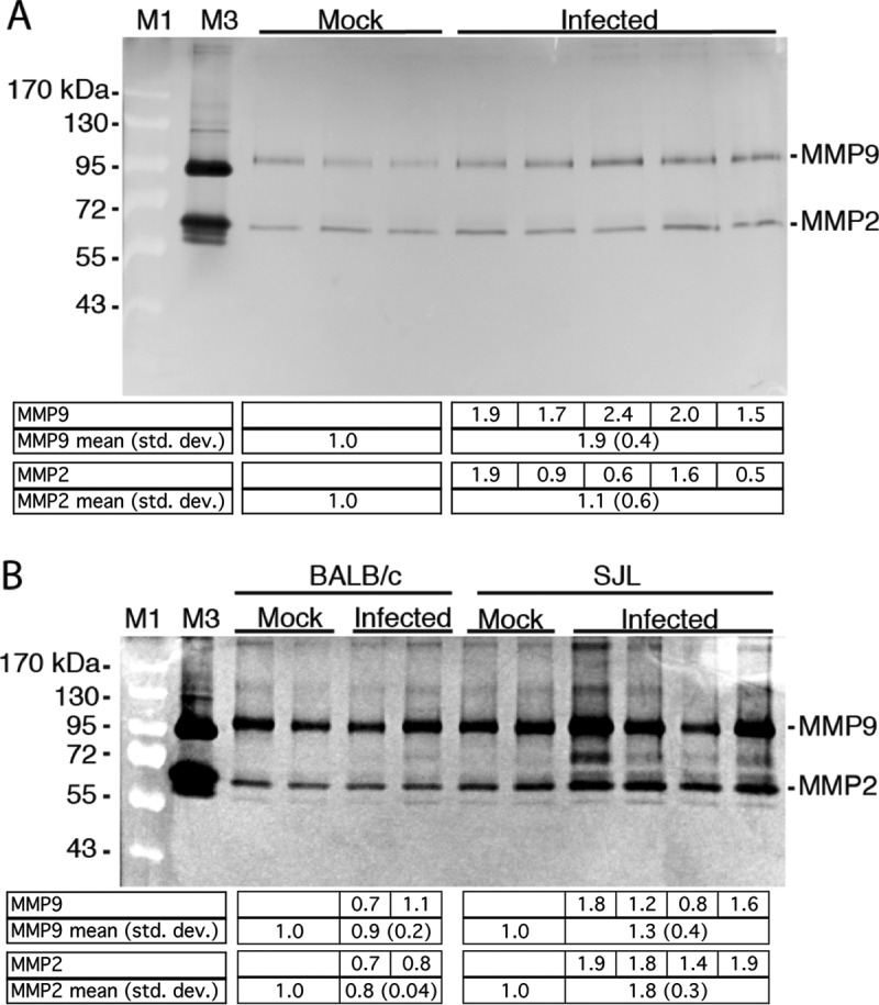 FIG 1