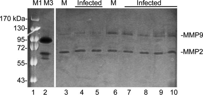 FIG 3