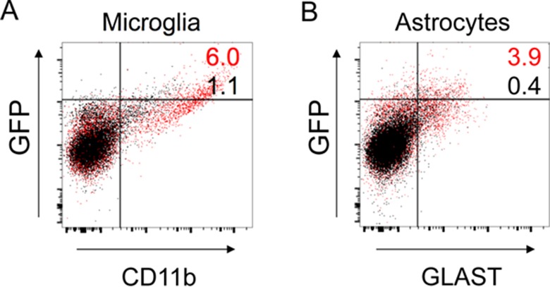 FIG 5