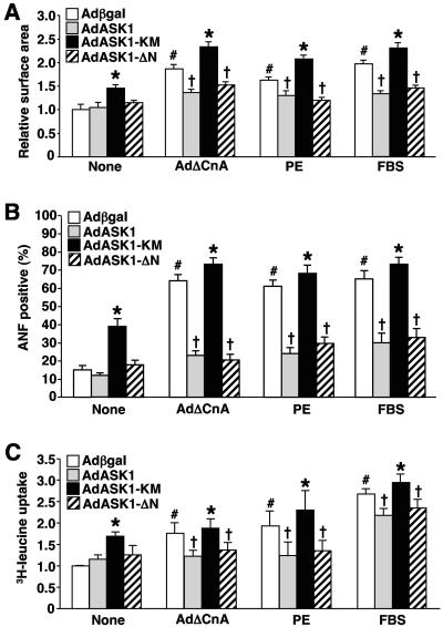 FIG. 6.