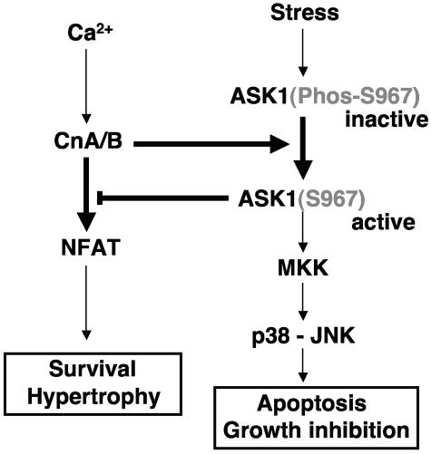 FIG. 7.