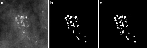 Fig. 10